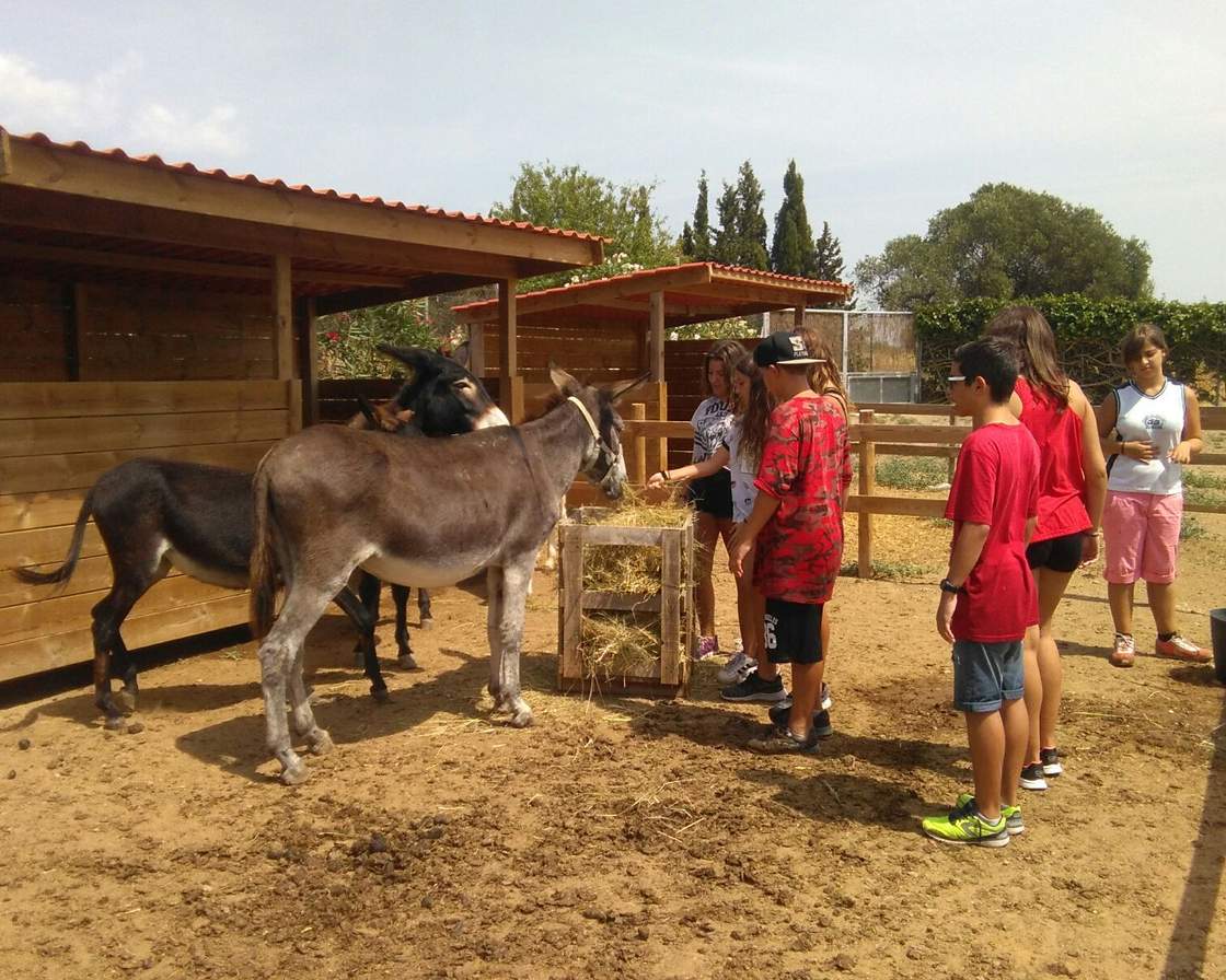 Joves donant palla a dos rucs davant dels coberts de fusta del refugi