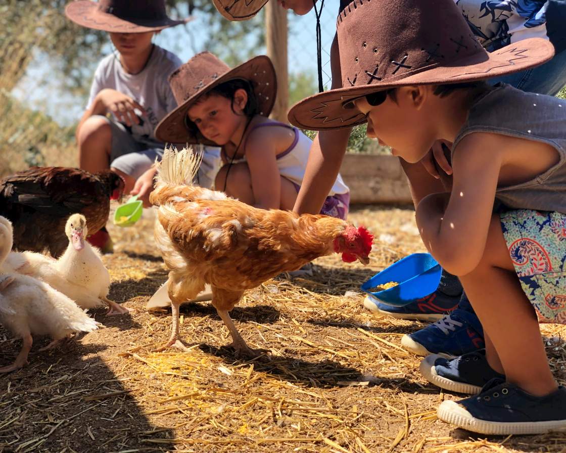 Infants amb barret de vaquer observant gallines i ànecs que mengen a terra