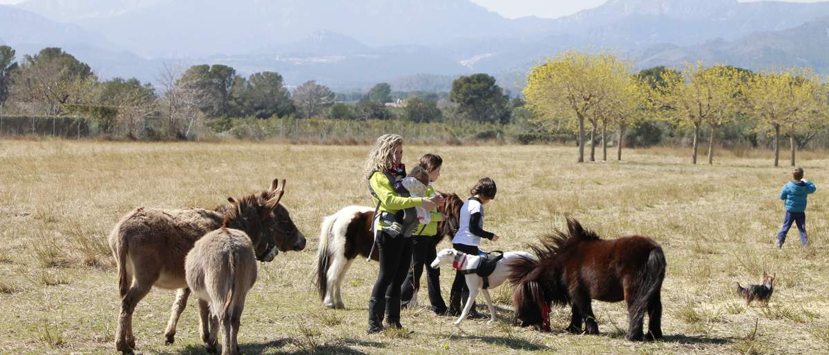 Persones i infants amb rucs i ponis en un camp ample amb muntanyes al fons