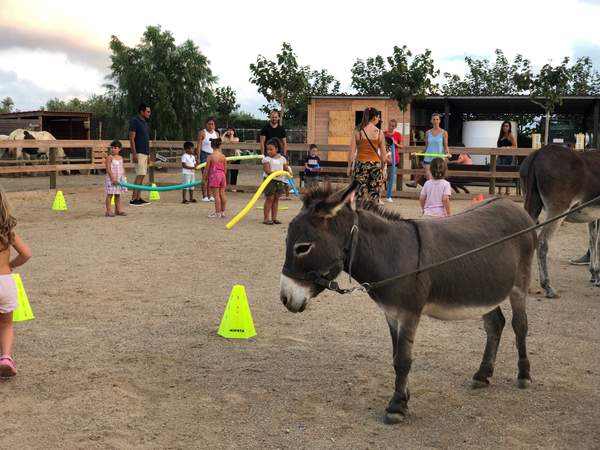 Ruc amb ronsal en una activitat amb infants, cons i xurros a la pista