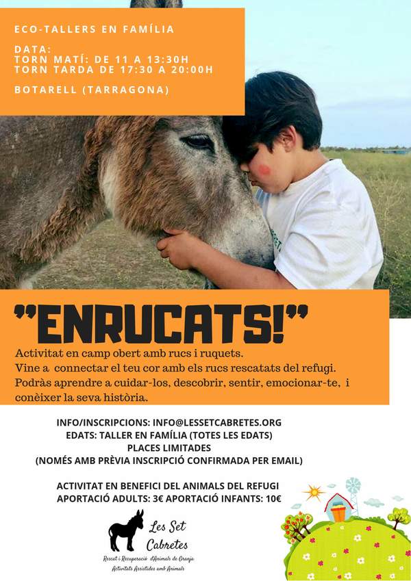 Cartell de l'activitat «Enrucats!» amb un nen abraçant el cap d'un ruc