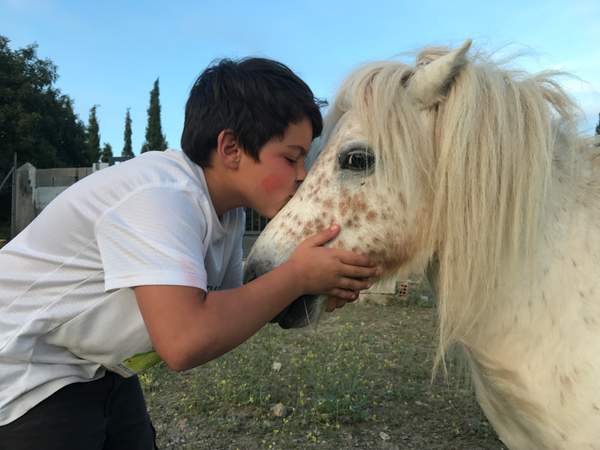Nen fent un petó al cap d'un poni blanc de crinera llarga