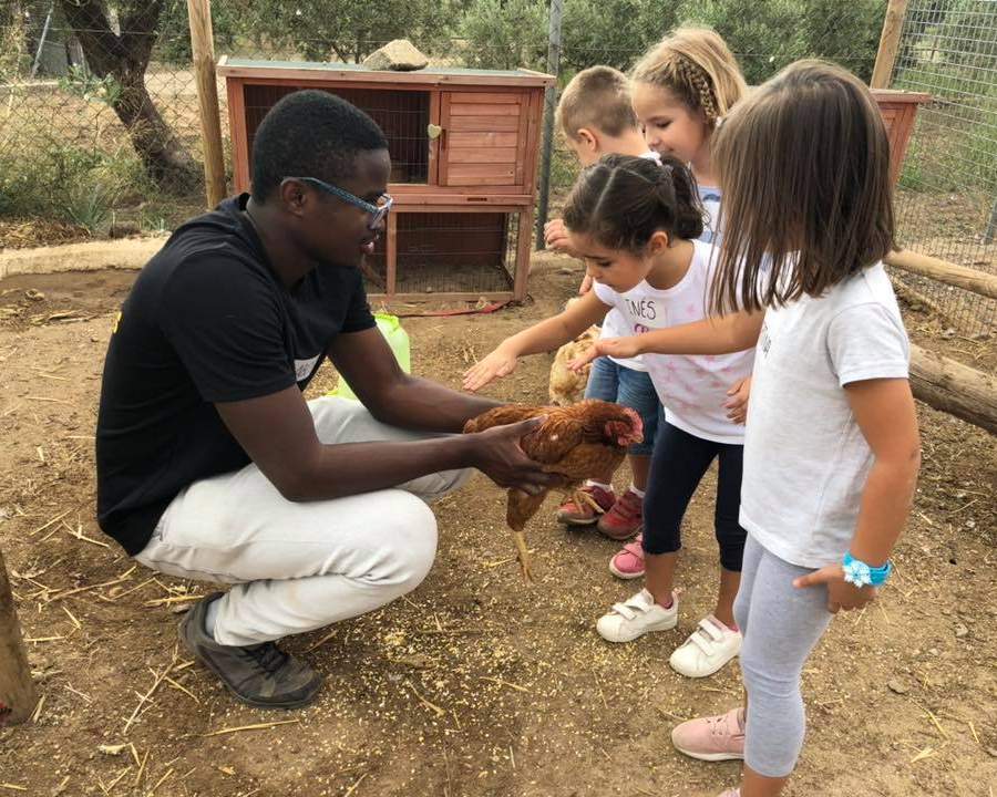 Monitor ajupit ensenyant una gallina a un grup de nenes al pati