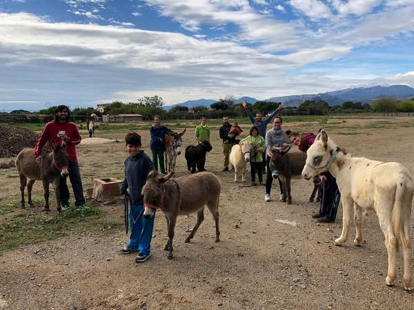 Grup de persones amb rucs i un poni blanc al camp, amb muntanyes al fons
