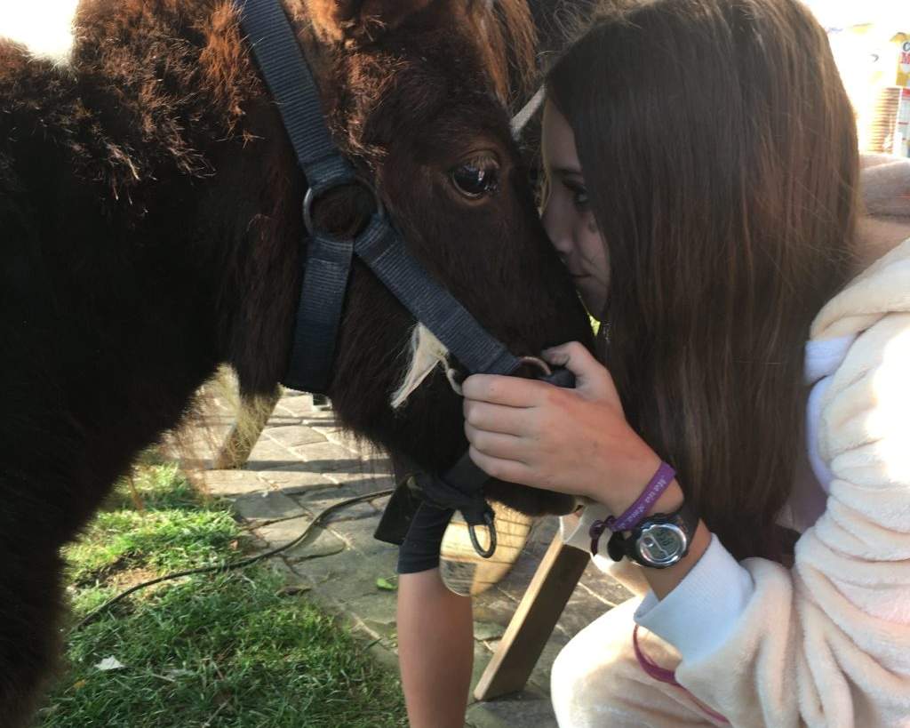 Noia abraçant el cap d'un poni marró amb ronsal al jardí