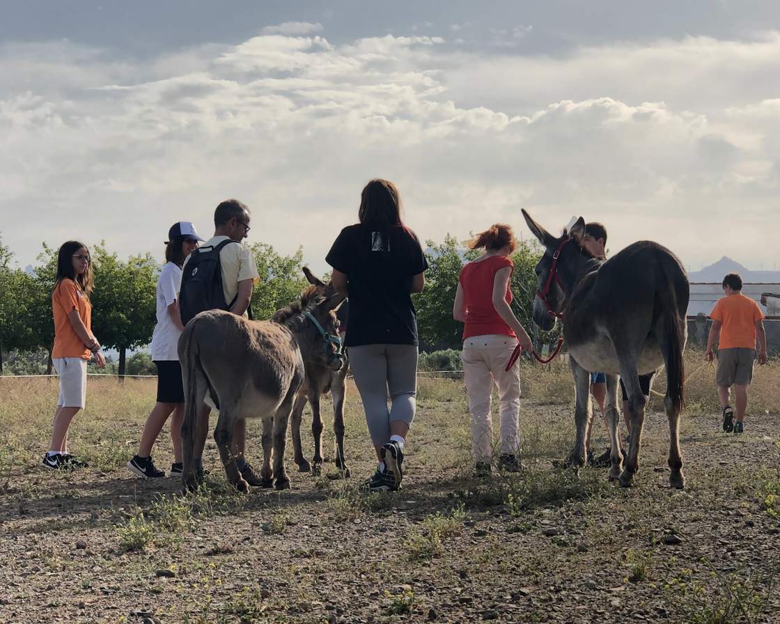 Grup de persones passejant uns quants rucs pel camp sota un cel ennuvolat