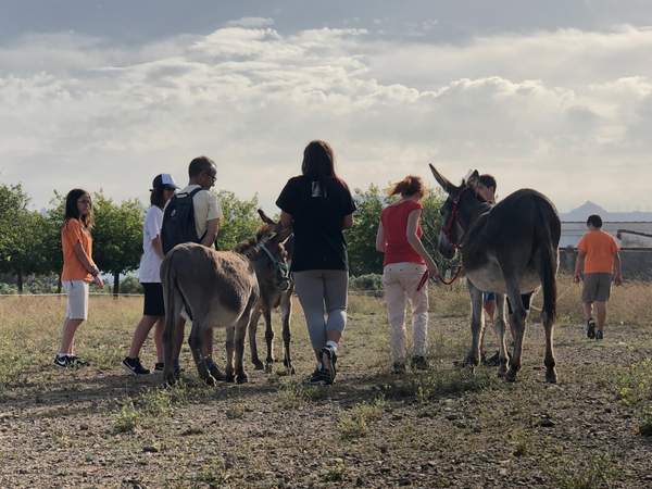 Grup de persones passejant uns quants rucs pel camp sota un cel ennuvolat