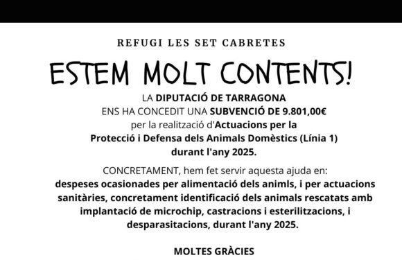 Subvenció Diputació de Tarragona “Actuacions per la protecció i Defensa dels Animals Domèstics”